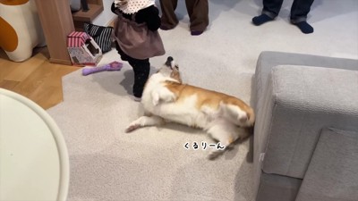 「ホラ!お腹触っていいよ!」