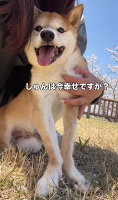 「いま、幸せですか？」