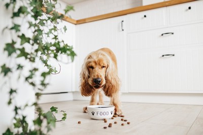 こぼしながら食べる