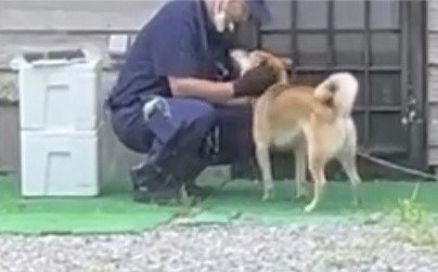 しゃがんだ配達員に撫でられる犬