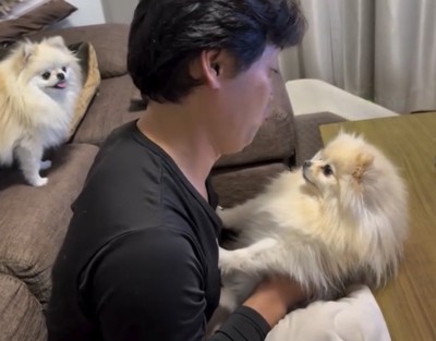 後ろにもう1匹写っている中、前足で拒否する犬