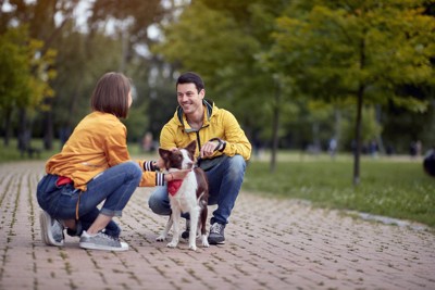 犬の散歩中にしゃがんで話をしている女性と男性