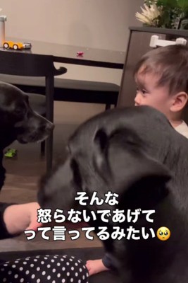 怒られちゃった！！