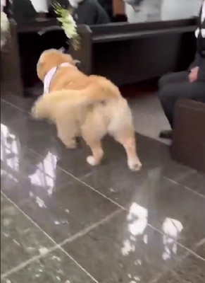 「本当にみんなありがとう!!」
