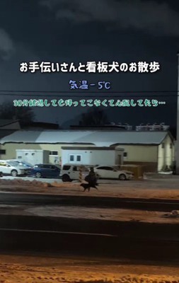 マイナス5度の中、散歩に出かけた犬とお手伝いさん→30分帰ってこないので心配していたら…『衝撃の光景』が28万再生「全然帰る気ないｗｗ」