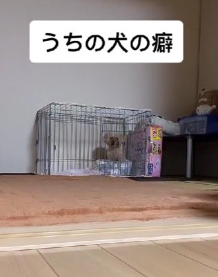 「悲しいお知らせって何？」
