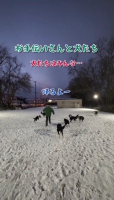 帰るときも鶴の一声!!