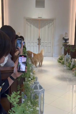 「来てくれてありがとう!!」
