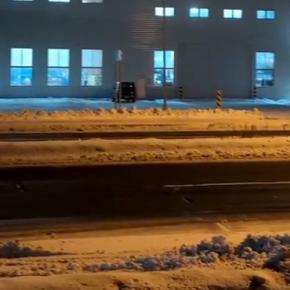 マイナス5度の中、散歩に出かけた犬とお手伝いさん→30分帰ってこないので心配していたら…『衝撃の光景』が28万再生「全然帰る気ないｗｗ」