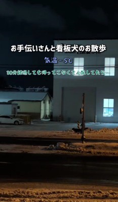 雪の上を全力疾走していた!!