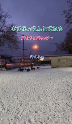 「行くよ~」と言ったら…