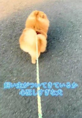 少し歩いては…