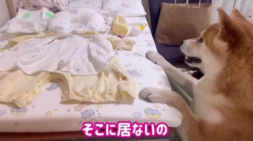 いないと教えても…