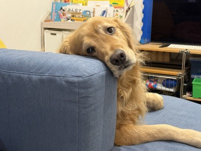食事