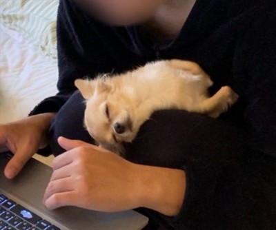 普段