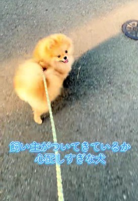 「着いて来てるよね？？」