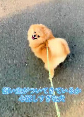 可愛い姿にホッコリ