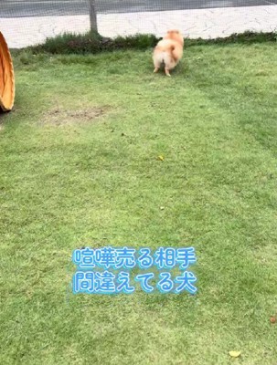 お散歩に行ったときのこと