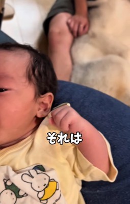赤ちゃん