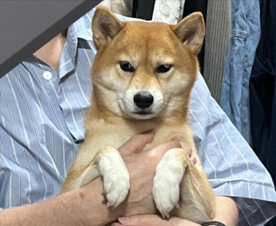 不服そう