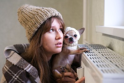 ニット帽をかぶっている犬と女性