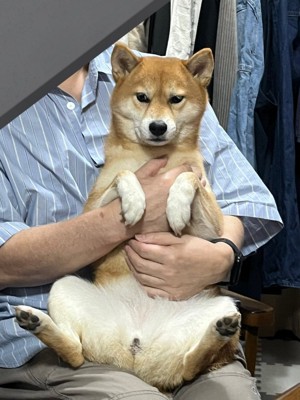 抱っこ