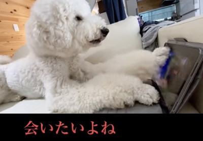 画面をタッチ
