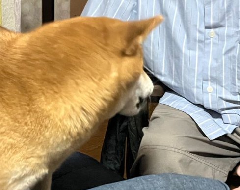 その後…