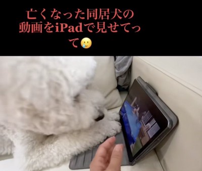 じーっ