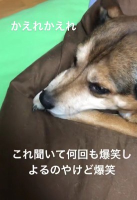 人間みたいな声にびっくり！！