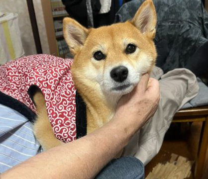 お父さん