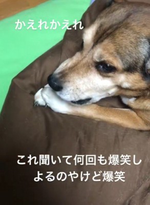 「なにしてるの？」