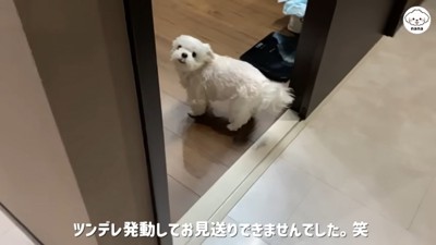 パパさんの帰りを待つナナくん3
