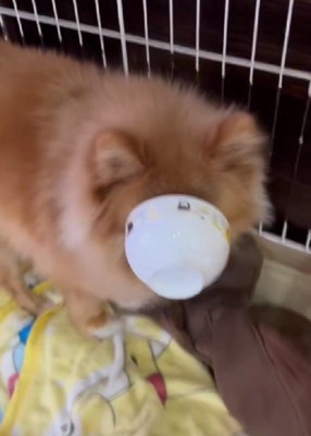 見事大成功！！
