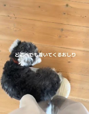 移動すると…