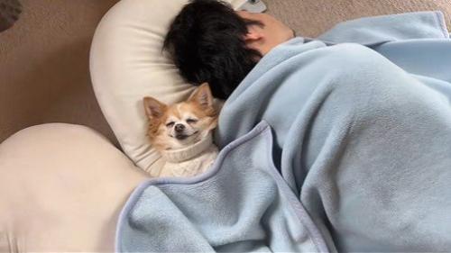 爆睡中の旦那さんと寄り添うアモちゃん2