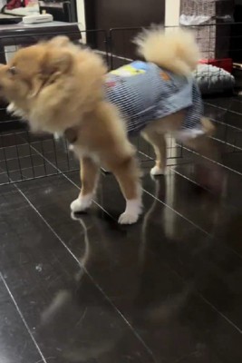 急に動き出した！！