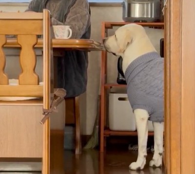 少し