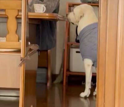 おばあちゃん