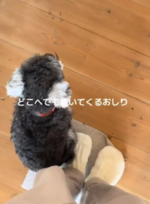 足にぴたっ♡