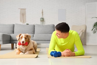 犬と男性