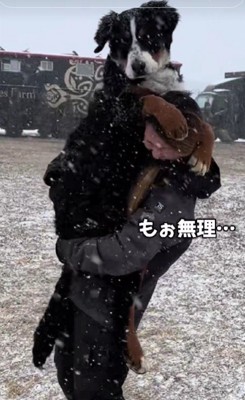子犬とは思えない!!