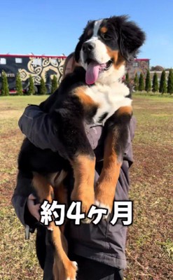 !?