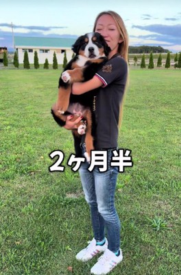 ここから急成長を遂げます…!!