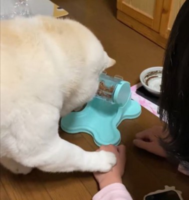 そうじゃない