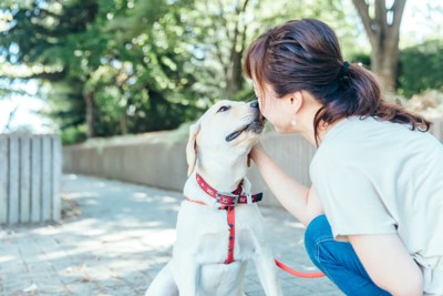 女性の顔を舐める犬