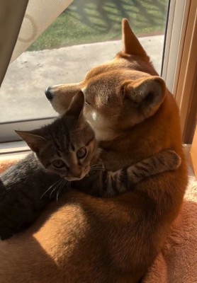 振り向くゆずくん