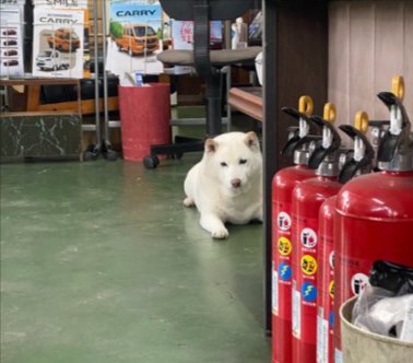 店長