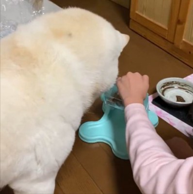 使い方