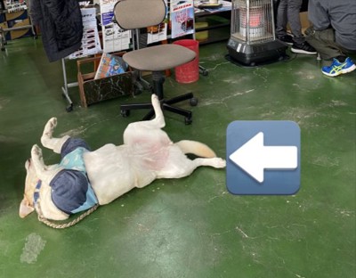 忙しい